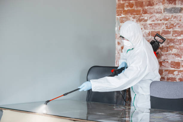 Best Biohazard Mold Removal in Cresson, TX